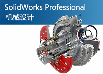 SolidWorks Professional I(y)